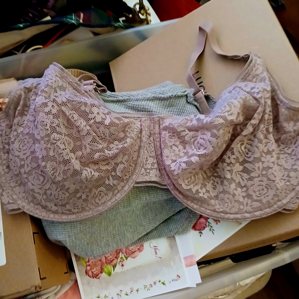 Maidenform Lace Underwire Bra in Soft Purple